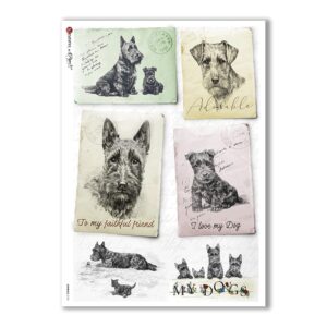 ANIMALS-0124. Carta di riso animali per decoupage.
