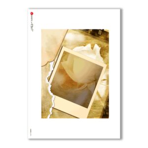 ALBUM-L-0025. Carta di riso album per decoupage.