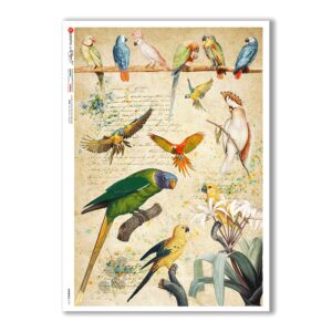 ANIMALS-0131. Carta di riso animali per decoupage.