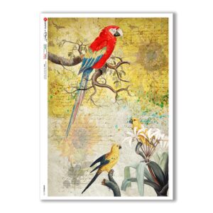 ANIMALS-0132. Carta di riso animali per decoupage.