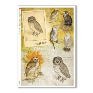 ANIMALS-0133. Carta di riso animali per decoupage.