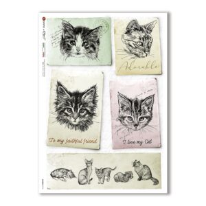 ANIMALS-0136. Carta di riso animali per decoupage.