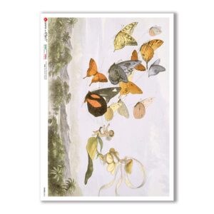 FAIRIES-0063. Carta di riso fate per decoupage.