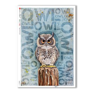 ANIMALS-0139. Carta di riso animali per decoupage.