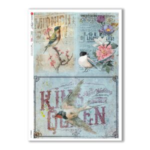 ANIMALS-0140. Carta di riso animali per decoupage.