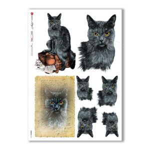 ANIMALS-0155. Carta di riso animali per decoupage.