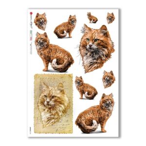 ANIMALS-0156. Carta di riso animali per decoupage.