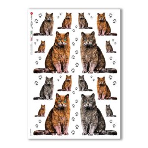 ANIMALS-0157. Carta di riso animali per decoupage.