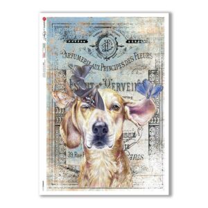 ANIMALS-0161. Carta di riso animali per decoupage.