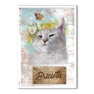 ANIMALS-0163. Carta di riso animali per decoupage.