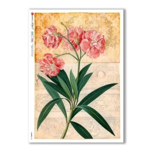FLOWERS-0355. Carta di riso fiori per decoupage.