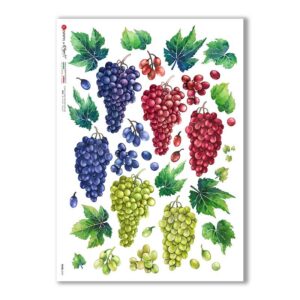 FOOD-0141. Carta di riso cucina per decoupage.
