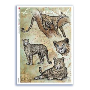 ANIMALS-0167. Carta di riso animali per decoupage.