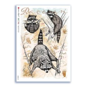 ANIMALS-0169. Carta di riso animali per decoupage.