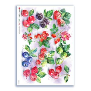 FOOD-0150. Carta di riso cucina per decoupage.