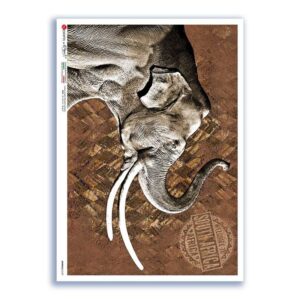 ANIMALS-0187. Carta di riso animali per decoupage.