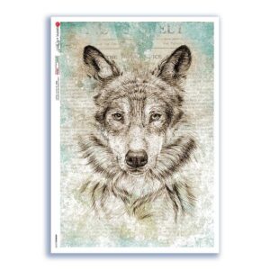 ANIMALS-0190. Carta di riso animali per decoupage.