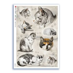 ANIMALS-0195. Carta di riso animali per decoupage.