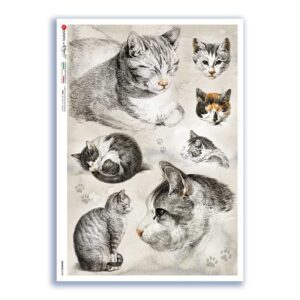 ANIMALS-0196. Carta di riso animali per decoupage.
