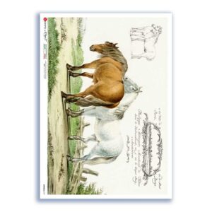 ANIMALS-0197. Carta di riso animali per decoupage.