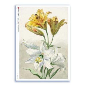 FLOWERS-0380. Carta di riso fiori per decoupage.