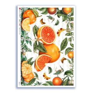 FOOD-0152. Carta di riso cucina per decoupage.