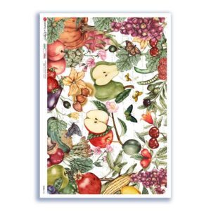 FOOD-0154. Carta di riso cucina per decoupage.
