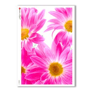FLOWERS-0019. Carta di riso fiori per decoupage.