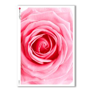 FLOWERS-0021. Carta di riso fiori per decoupage.