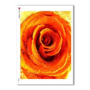 FLOWERS-0025. Carta di riso fiori per decoupage.