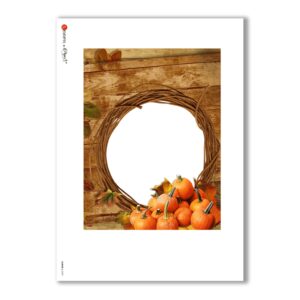 ALBUM-L-0039. Carta di riso album per decoupage.
