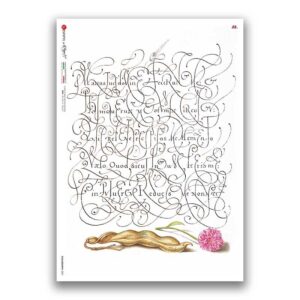 CALLIGRAPHY-0001. Carta di riso calligrafia per decoupage.