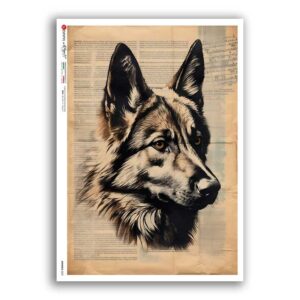 ANIMALS-0222. Carta di riso animali per decoupage.