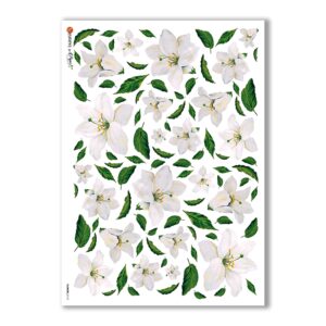 FLOWERS-0112. Carta di riso fiori per decoupage.