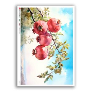 FOOD-0168. Carta di riso cucina per decoupage.