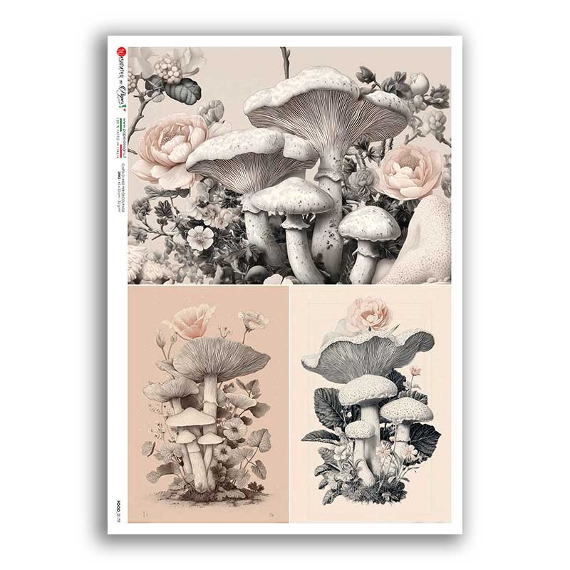Tre riquadri di ispirazione botanica accostano funghi color crema e grigio, rose rosa pallido, piccoli fiori e foglie verde grigio.
